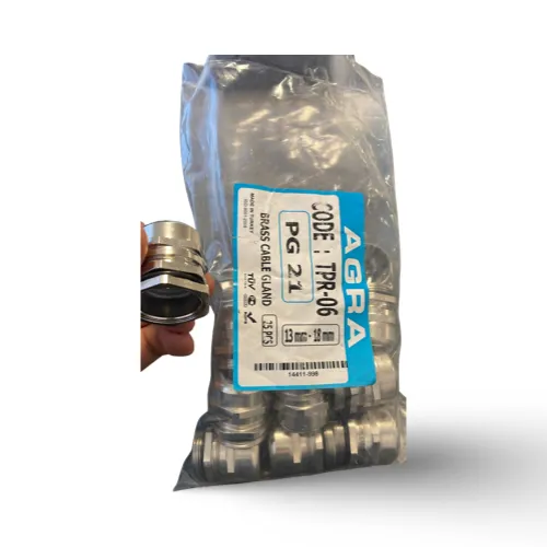 PG21 Metal IP65 Rakor